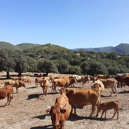 Puerta Al Mar Апартаменти