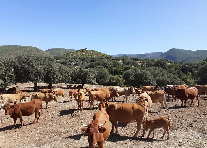Puerta Al Mar Appartamento